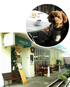 Green cafe Saigohyama