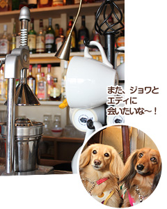 Daisy's café 鎌倉店
