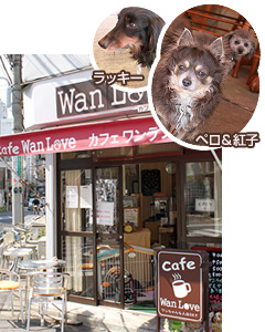 Cafe Wan Love　カフェ ワンラブ