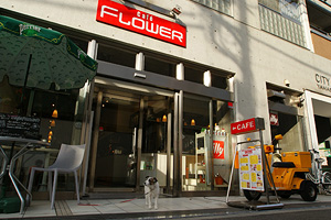 cafe flower