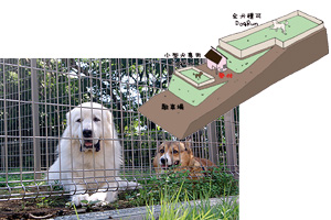 Dog Run 犬庭