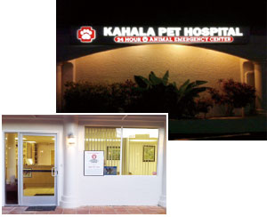 KAHALA PET HOSPITAL