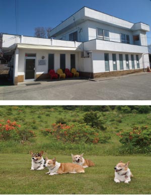 佐久平マール動物病院
