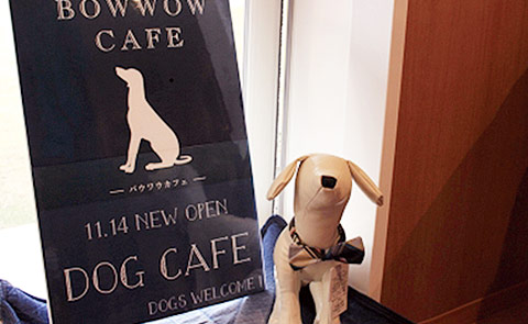 BOWWOW CAFE 2