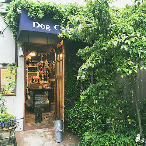 Dog Cafe1