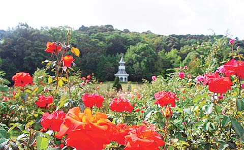 河津バガテル公園2