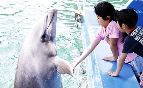 下田海中水族館1