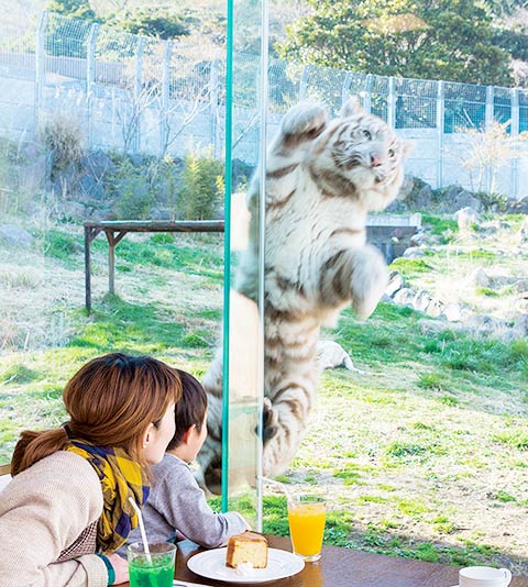 伊豆アニマルキングダム 1