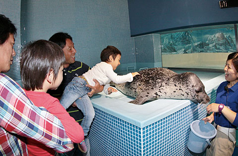 下田海中水族館