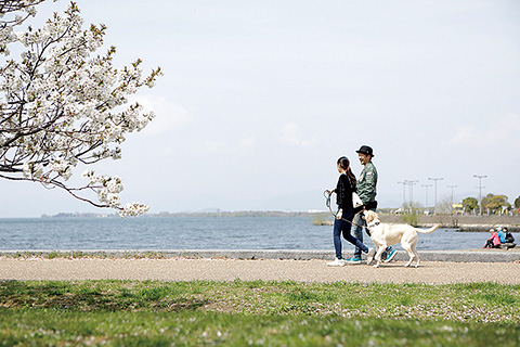 豊公園