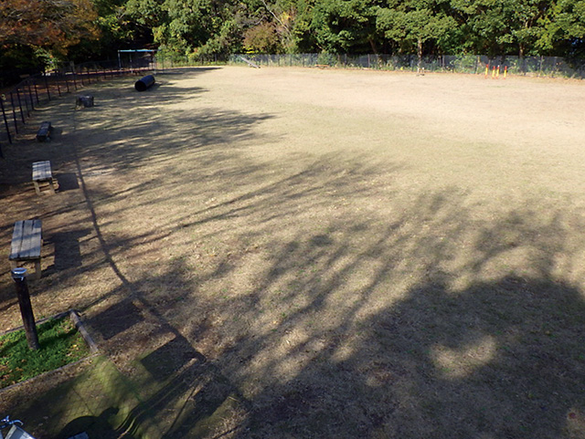 稲佐山公園