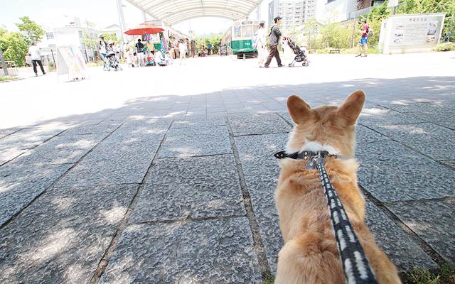 徒歩5分の所にある梅子路公園