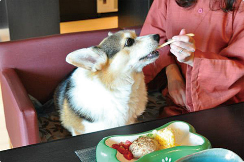 夕・朝食