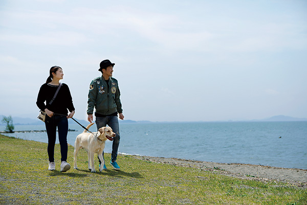 美しい琶湖を眺める自然豊かな公園